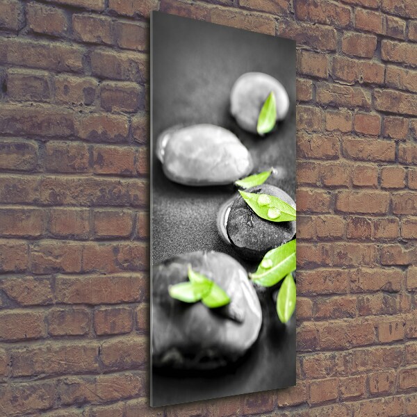 Printed glass wall art Zen stones leaves