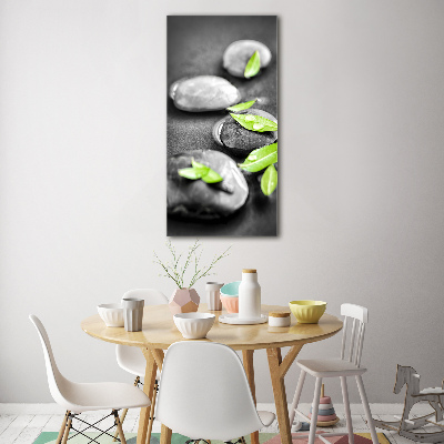 Printed glass wall art Zen stones leaves