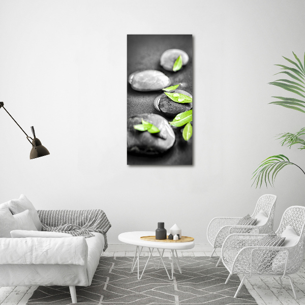 Printed glass wall art Zen stones leaves