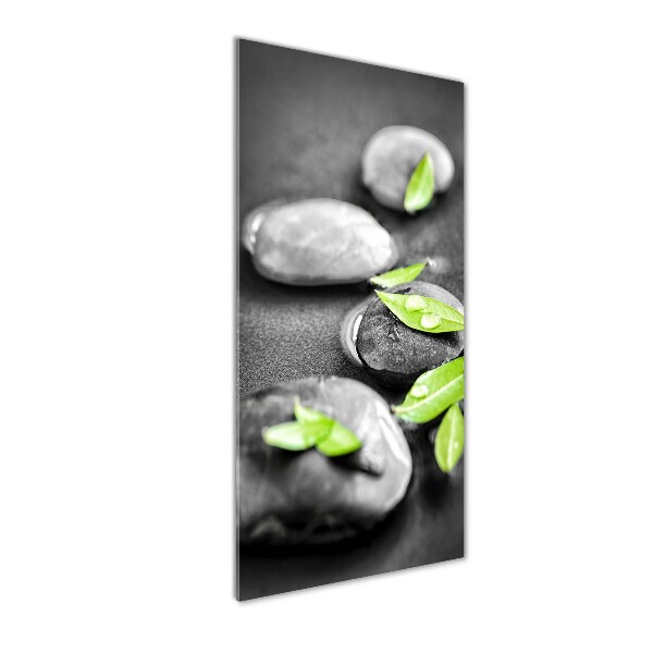 Printed glass wall art Zen stones leaves