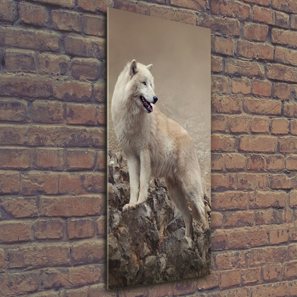 Photo printed on glass Wolf on the rock