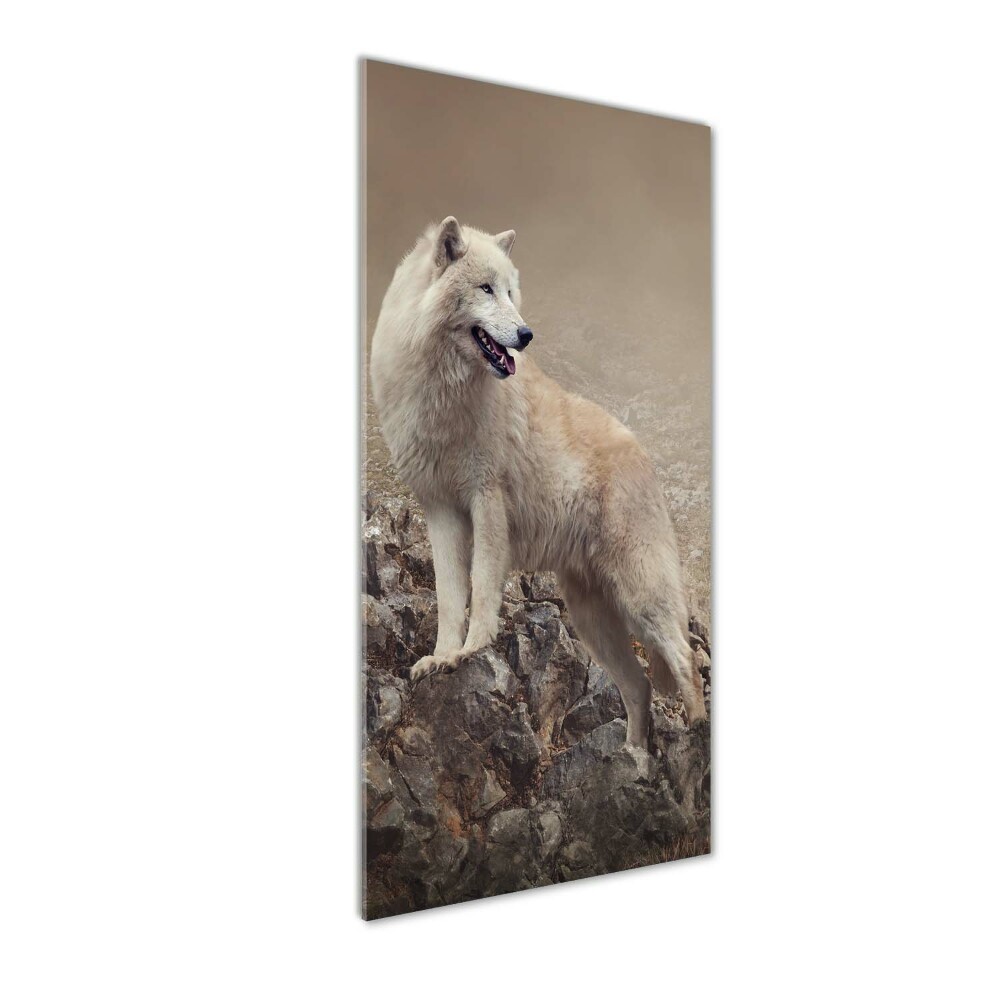 Photo printed on glass Wolf on the rock