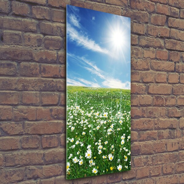 Print on a a glass Meadow