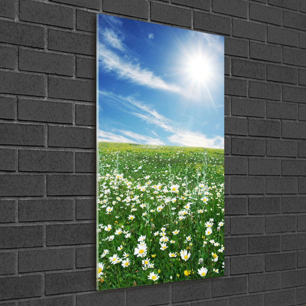 Print on a a glass Meadow