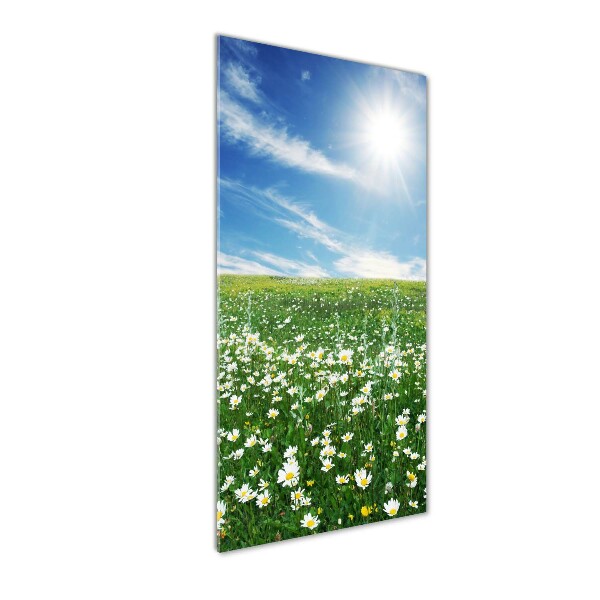 Print on a a glass Meadow