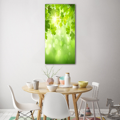 Wall art on glass Green leaves