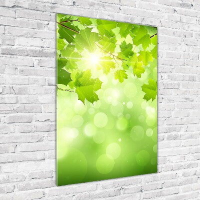 Wall art on glass Green leaves