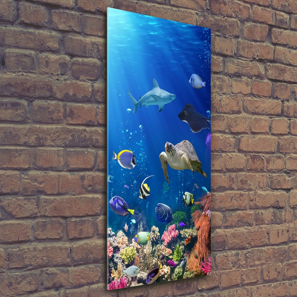 Glass picture wall art Coral reef