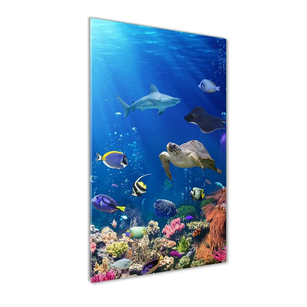 Glass picture wall art Coral reef