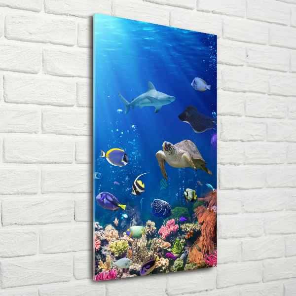 Glass picture wall art Coral reef