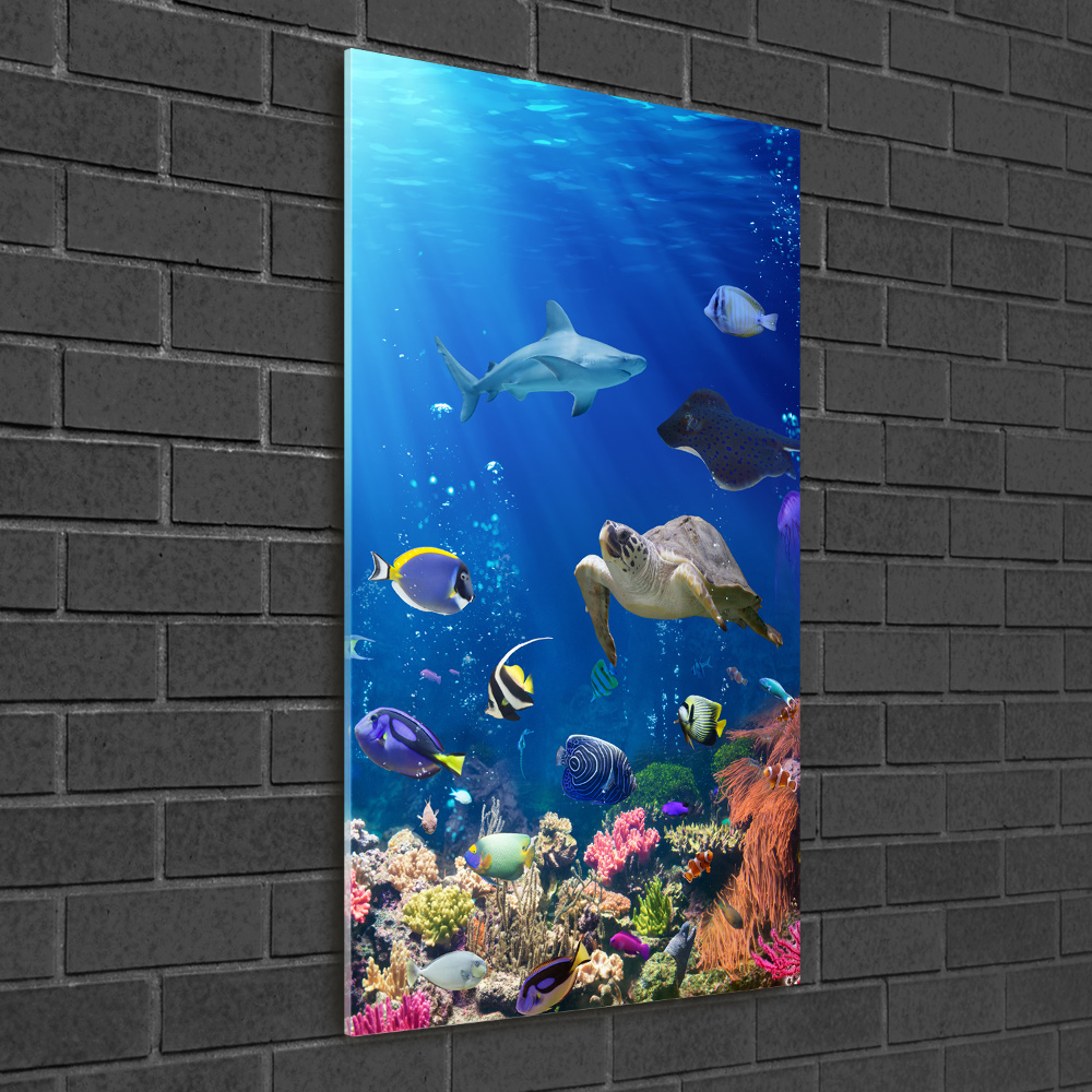 Glass picture wall art Coral reef