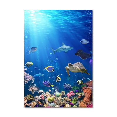 Glass picture wall art Coral reef