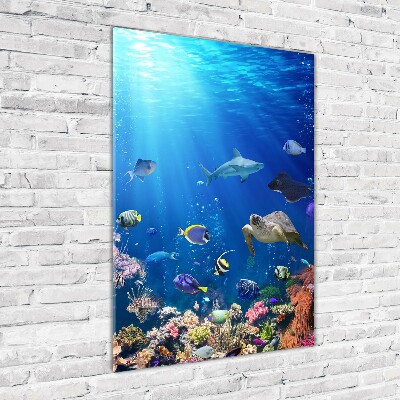 Glass picture wall art Coral reef