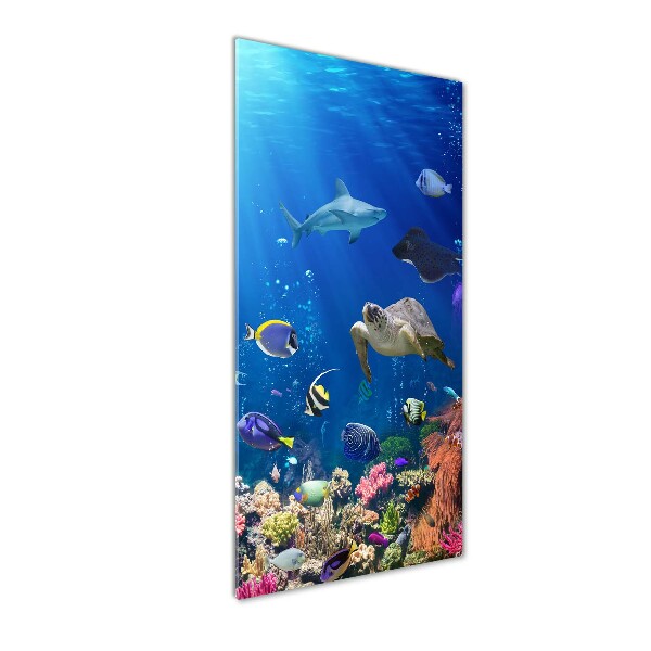 Glass picture wall art Coral reef