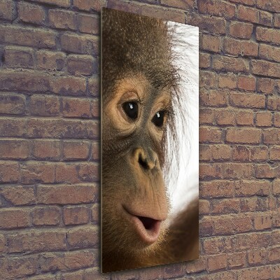 Glass picture wall art Young orangutan