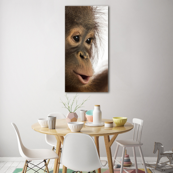 Glass picture wall art Young orangutan