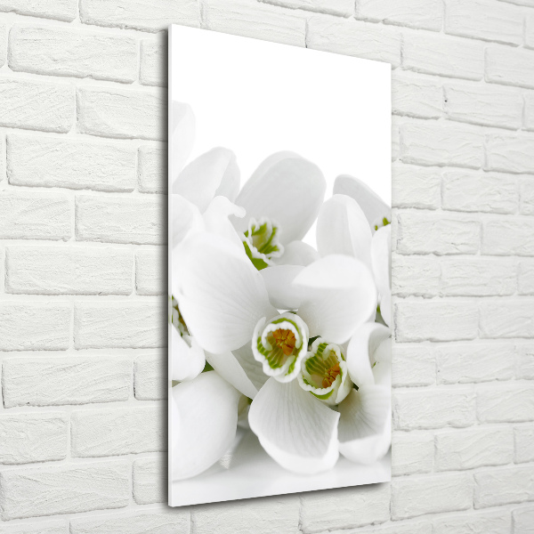 Glass wall art White snowdrops