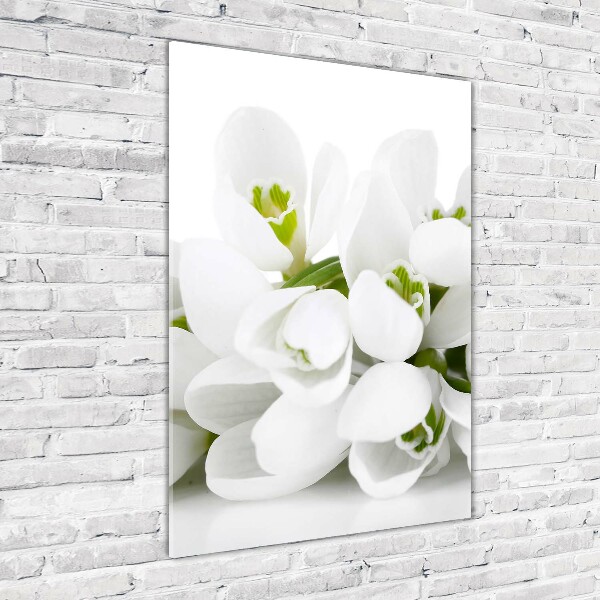 Glass wall art White snowdrops