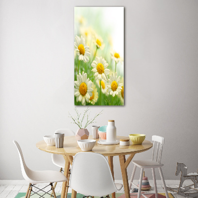 Wall art on glass Daisy