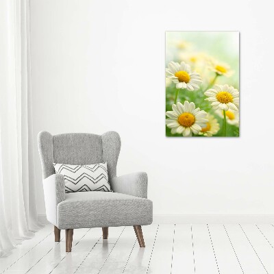 Wall art on glass Daisy