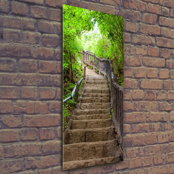 Wall art on glass Stairs in the forest