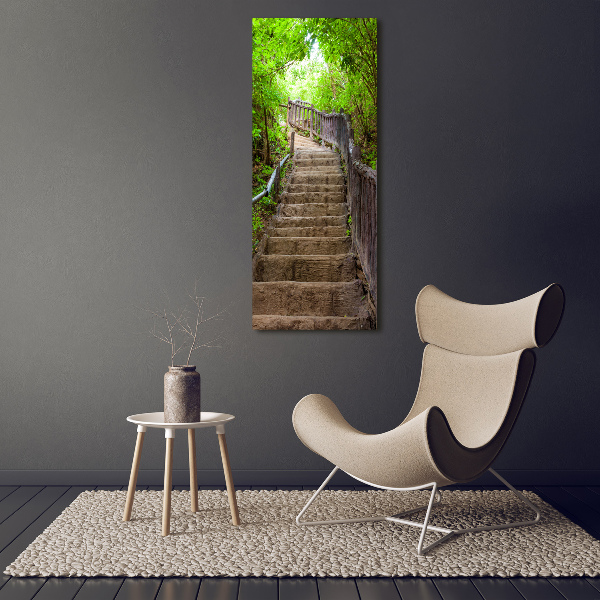 Wall art on glass Stairs in the forest