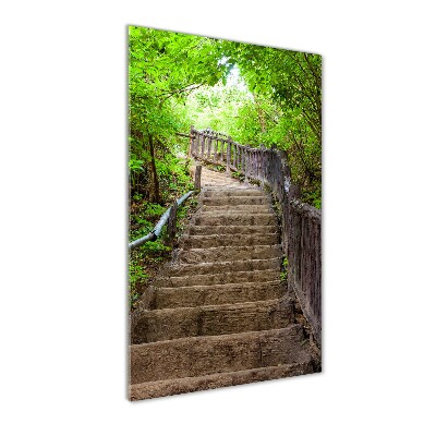 Wall art on glass Stairs in the forest