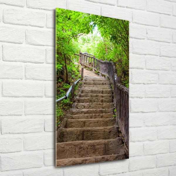 Wall art on glass Stairs in the forest