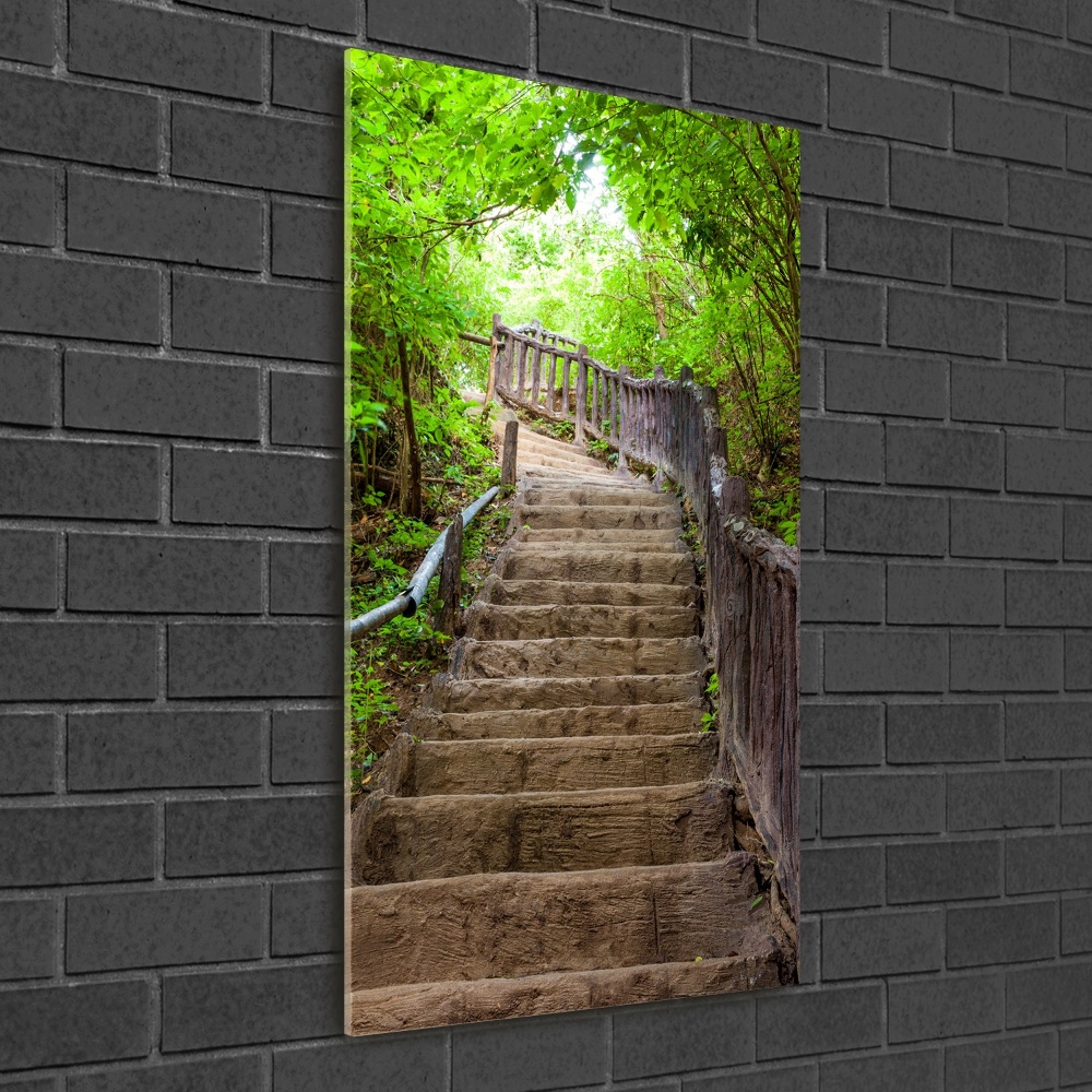 Wall art on glass Stairs in the forest