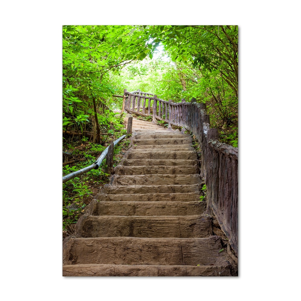 Wall art on glass Stairs in the forest