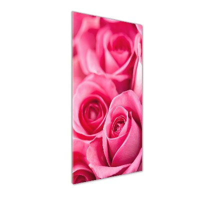 Wall art on glass Pink roses