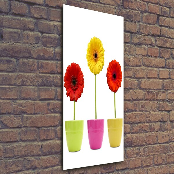 Wall art on glass Colorful gerberas