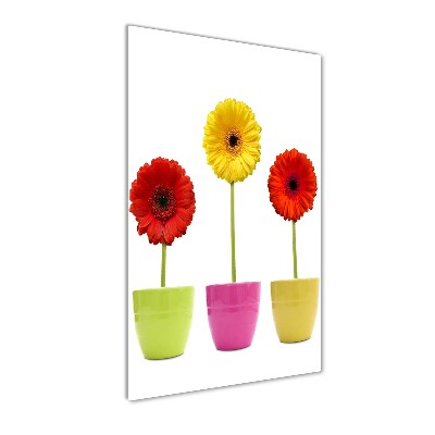 Wall art on glass Colorful gerberas