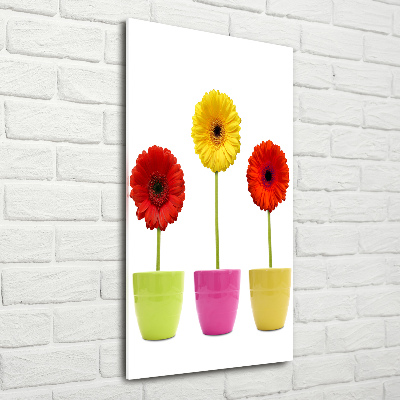 Wall art on glass Colorful gerberas