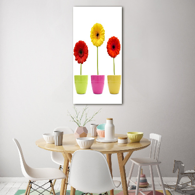 Wall art on glass Colorful gerberas