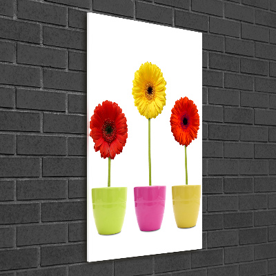 Wall art on glass Colorful gerberas