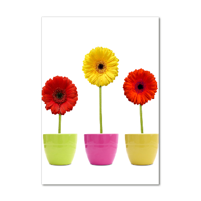 Wall art on glass Colorful gerberas