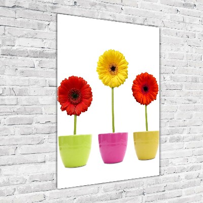 Wall art on glass Colorful gerberas