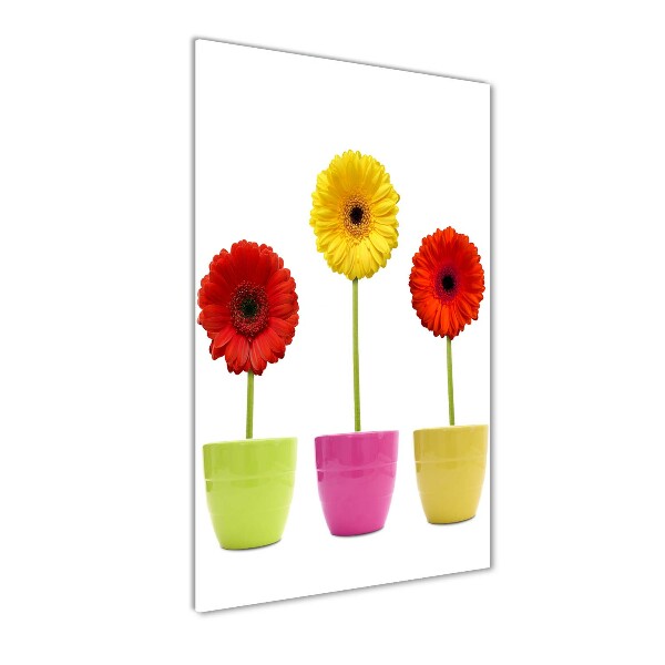 Wall art on glass Colorful gerberas