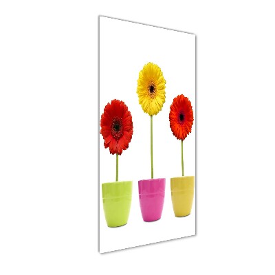 Wall art on glass Colorful gerberas