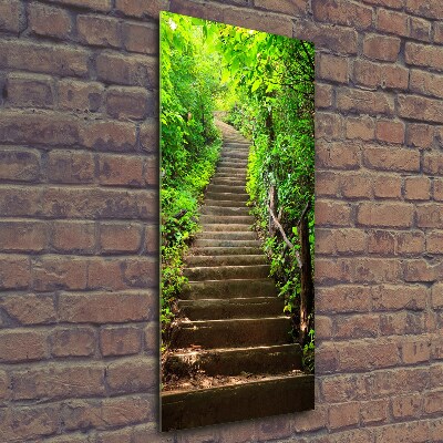 Wall art on glass Stairs to the forest