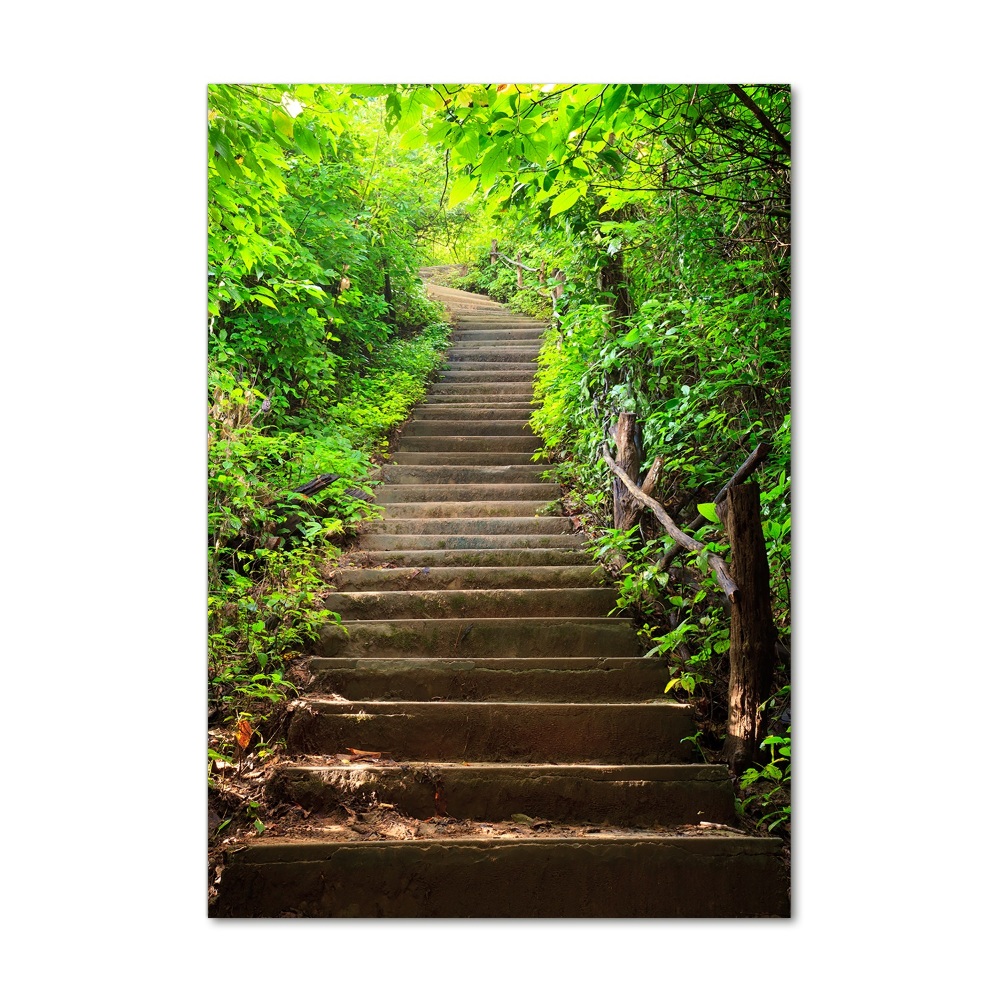 Wall art on glass Stairs to the forest