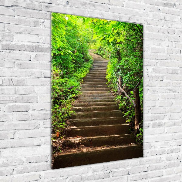 Wall art on glass Stairs to the forest