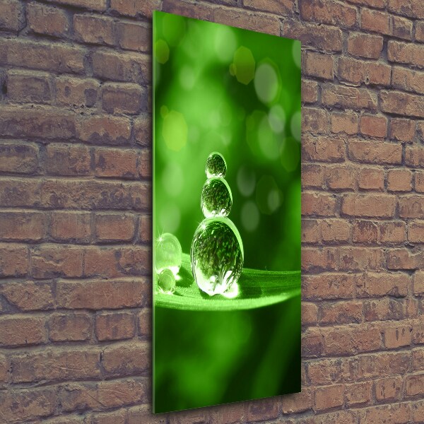 Wall art on glass Drops on the grass