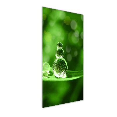 Wall art on glass Drops on the grass