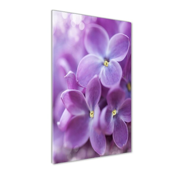 Wall art on glass Lilac flowers