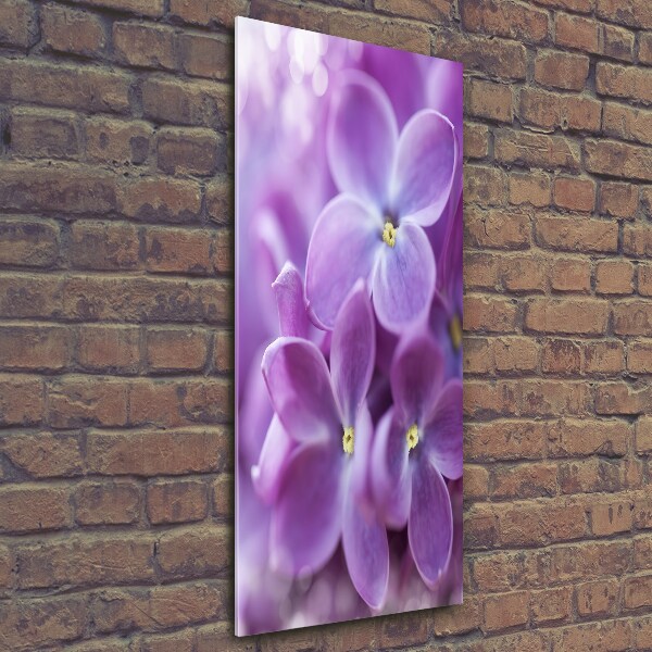 Wall art on glass Lilac flowers