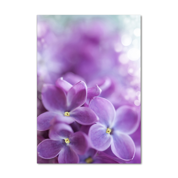 Wall art on glass Lilac flowers