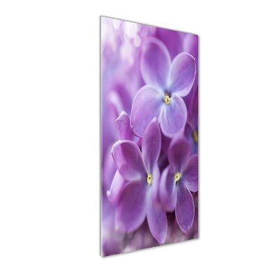 Wall art on glass Lilac flowers