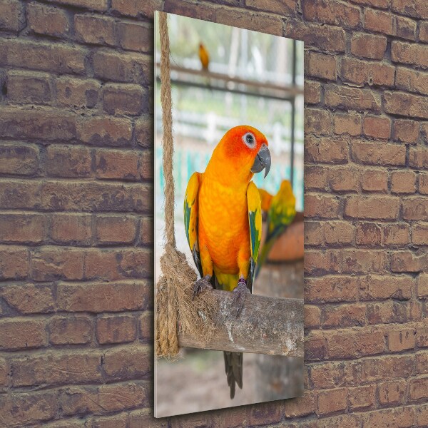 Printed glass wall art Parrot